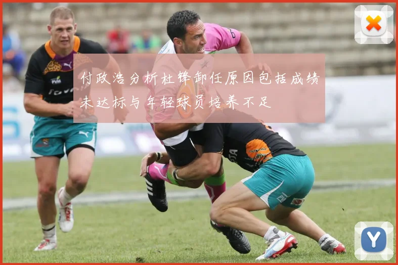 付政浩分析杜锋卸任原因包括成绩未达标与年轻球员培养不足