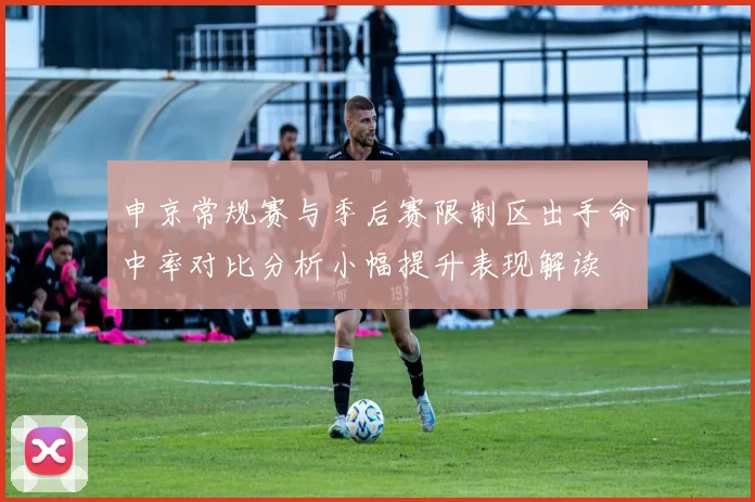 申京常规赛与季后赛限制区出手命中率对比分析小幅提升表现解读