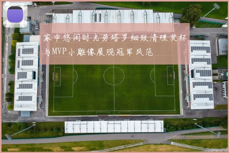 家中悠闲时光劳塔罗细致清理奖杯与MVP小雕像展现冠军风范