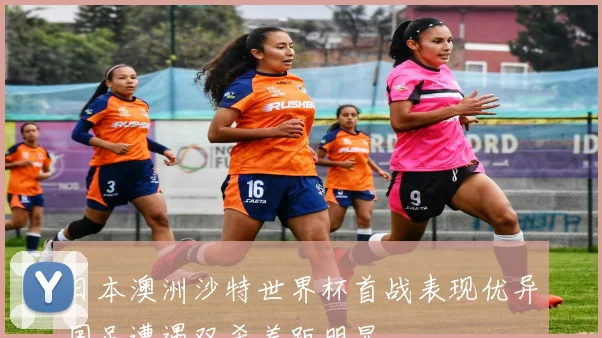 日本澳洲沙特世界杯首战表现优异国足遭遇双杀差距明显